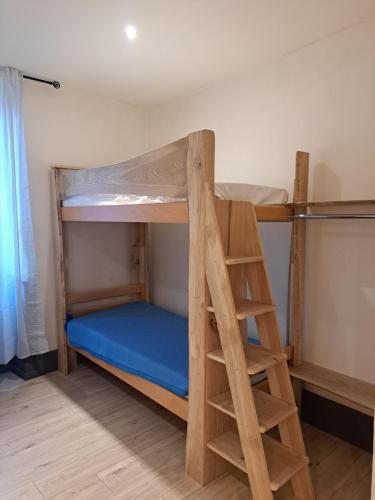 a bunk bed with a ladder in a room at Les Arcades T1 La Lanterna 9 in Lons-le-Saunier