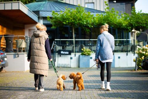 two women walking two dogs on a sidewalk at Schlosshotel Brilon-Wald in Brilon-Wald