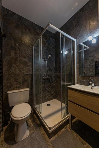 une salle de bain avec une douche, des toilettes et un lavabo dans l'établissement Le Studio Montreuil - Wifi Metro 9 à Proximité PARIS, à Montreuil