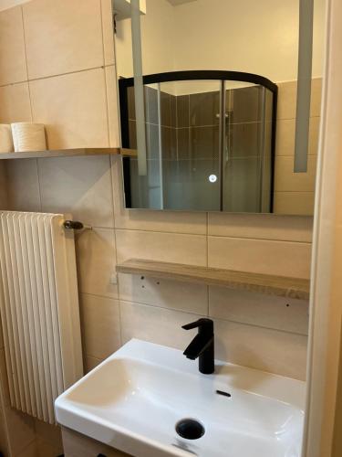 une salle de bain avec un lavabo et un miroir dans l'établissement Le Flaugergues centre ville Rodez, à Rodez
