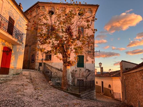 an old building with a tree in a street at Il Vecchio Borgo in San Donato Val di Comino