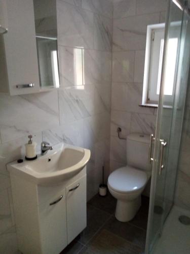 a bathroom with a sink and a toilet and a shower at Apartments Sab in Povljana