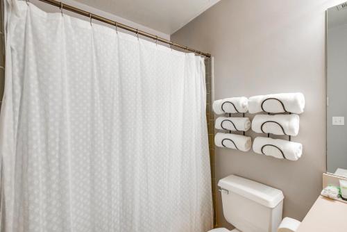 a bathroom with a shower curtain and a toilet and towels at Pet-Friendly Home - 3 Mi to University of Florida! in Gainesville