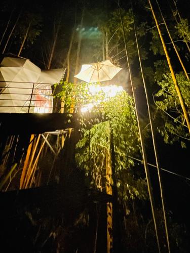 Glamping valhalla La vegaにある庭