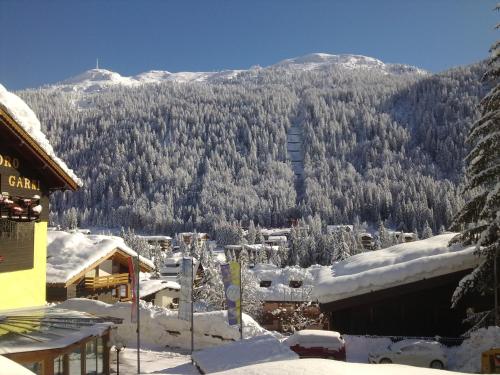 a view of a snow covered mountain with trees at Hotel Cime D'Oro in Madonna di Campiglio