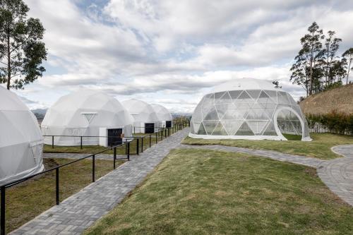 a row of domes in a field with grass at NaturHotel in Cuenca