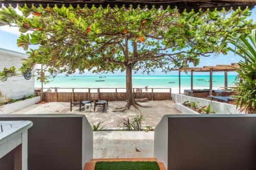 a view of the beach from a house with a tree at B4 BOUTIQUE in Paje