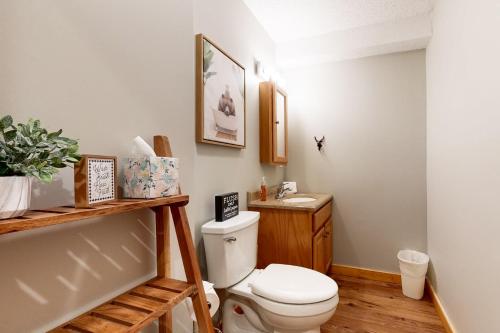 un baño con inodoro y lavabo en Mountain Memories, en Bartlett
