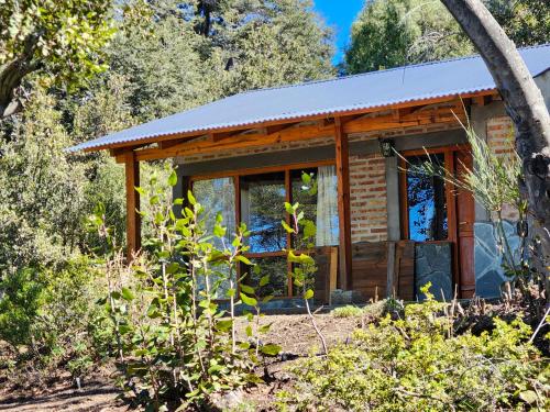 a cabin in the woods with a large window at Costa de Lago - Cullelafquen in Villa Pehuenia