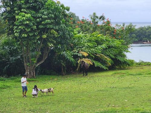 a man and two dogs and a woman and a horse at Suva Hideaway Villa in Suva