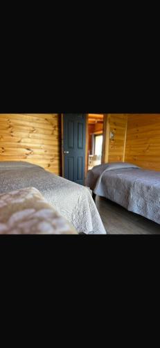 two beds in a bedroom with wooden walls at Cabañas Luz de Luna, Playa Curanipe in Curanipe