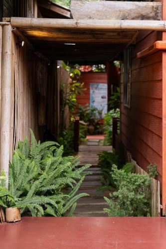 a hallway leading to a house with a plant at Monruamsuk Homestay Cafe and Bistro in Chiang Mai