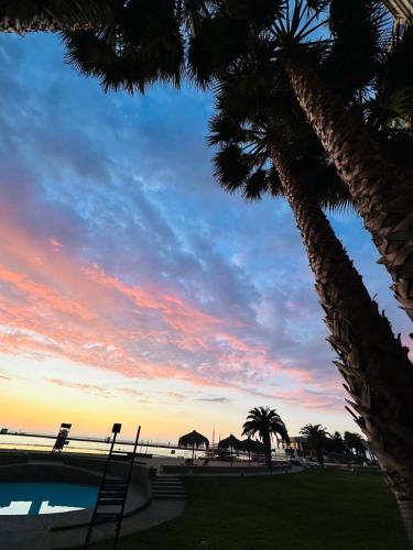 a view of the beach and palm trees at sunset at San Alfonso del Mar la mejor vista de Algarrobo in Algarrobo