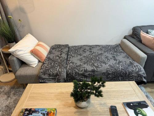 Ruang duduk di Stunning 3 bd 2 bth city apt Pool and Carpark