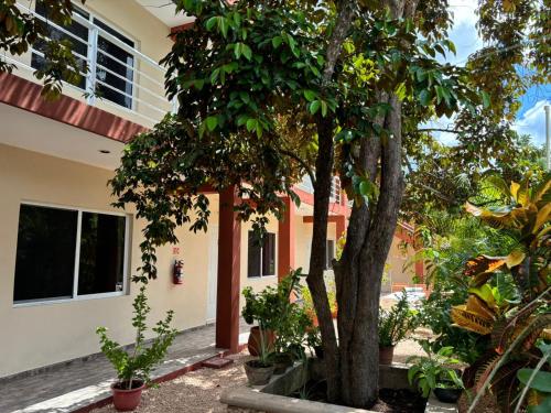 a house with trees and plants in front of it at Casa del cenote in Valladolid