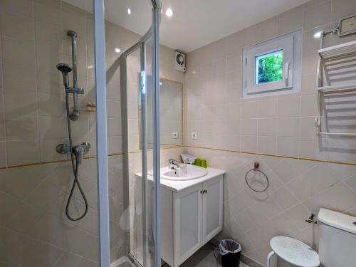 a bathroom with a shower and a sink and a toilet at Charmantes chambres d'hôtes avec petit-déjeuner à Azay-le-Ferron - FR-1-591-674 in Azay-le-Ferron