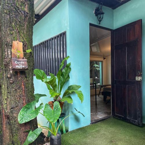 a house with a tree in front of a door at Maudie in Santa Teresa Beach