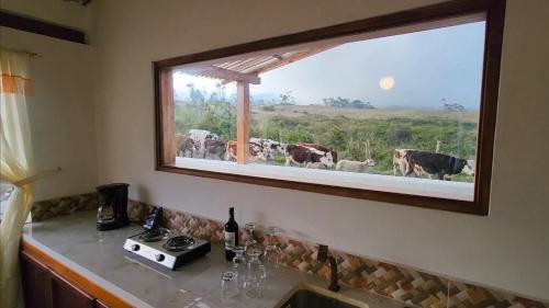a kitchen with a window with cows in the field at Hacienda San Nicolas de Cuicocha in Cotacachi