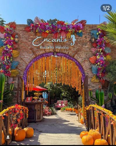 an entrance to aanicalanicalanicalanicaluseum with pumpkins and an archway at Luxury, Ocean View, Pool, Jacuzzi, Valle de Guadalupe, Los Portales De Garcia, Splash, Encanto Restaurants, Surf Breaks in Primo Tapia, Rosarito in Rosarito