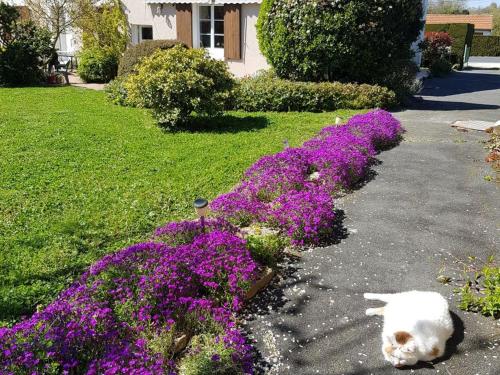 Foto dalla galleria di Chambres d'hôtes au calme près des châteaux de la Loire - FR-1-591-664 a Châtillon-sur-Indre