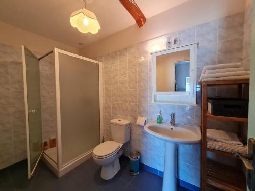 une salle de bain avec toilettes, lavabo et miroir dans l'établissement Ferme rénovée près de Beaugency, 4 chambres, petit-déjeuner maison, proche Loire à Vélo - FR-1-590-445, à Cravant