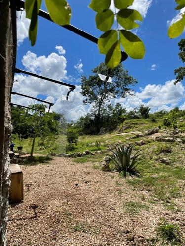 a dirt road in the middle of a field at Hostal Homún Oro Verde in Homún