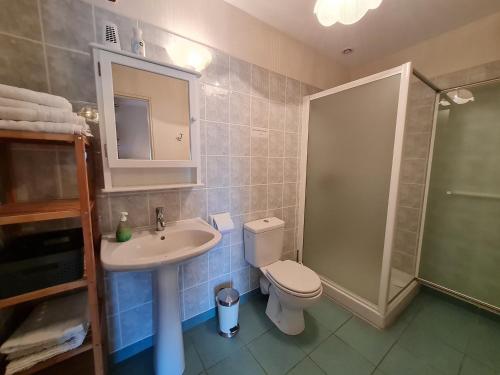 un bagno con lavandino, WC e doccia di Ferme rénovée au calme - 4 chambres, petit-déjeuner inclu - FR-1-590-450 a Cravant