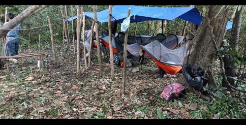 a group of tents in the woods with people standing around at Atacuari Salvaje Tours Amazonas in San Juan de Atacuari