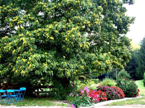 Gallery image of Chambre Printanière avec Parc et Activités en Nature - FR-1-589-722 in Le Clerjus