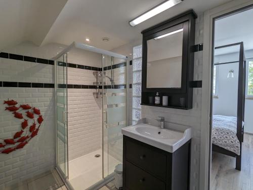 a bathroom with a sink and a shower with a mirror at Chambres avec petit déj inclus et table d'hôtes en Berry, près des Châteaux de la Loire - FR-1-591-700 in Fontguenand