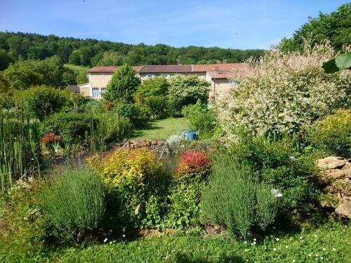 un jardin avec de nombreux types de plantes différents dans l'établissement Chambres spacieuses avec salle d'eau, salon cheminée, jardin détente - Lorraine - FR-1-585-143, à Watronville