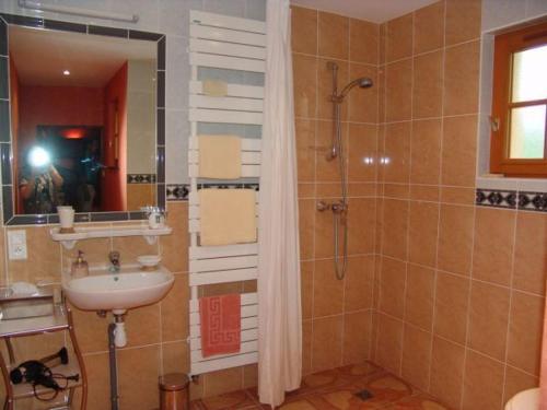 a bathroom with a shower and a sink and a mirror at Chambres typiques restaurées au cœur de l'Argonne - FR-1-585-141 in Futeau