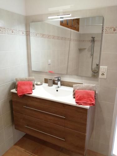 une salle de bain avec un lavabo et un miroir dans l'établissement GITE CHEZ JULES ET ODETTE, à Comigne