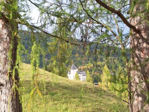 a house on a hill in a field with trees at Appartement Bergliebe in Mauterndorf