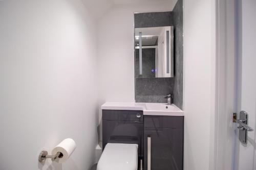 a bathroom with a toilet and a sink and a mirror at 29 Twyford in Eastleigh