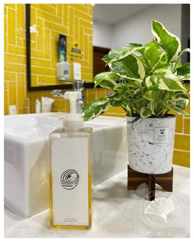a bathroom sink with a bottle of soap and a potted plant at Aki 秋 Hostel in Da Lat