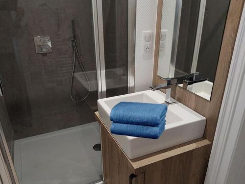 La salle de bains est pourvue d'un lavabo et d'une douche avec une serviette bleue. dans l'établissement Appartement lumineux 4* pour 2 à Vittel, proche thermes, WiFi, parking gratuit - FR-1-589-745, à Vittel