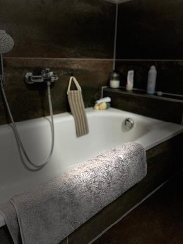 a bathroom with a bath tub with a shower at Ferienwohnung Klettgau-Erzingen in Klettgau