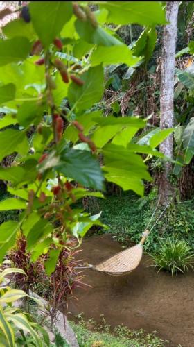 Taman di luar จดจำ Memorize I Chiang Mai
