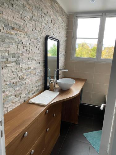 a bathroom with a sink and a brick wall at Appartement 2 chambres Versailles in Versailles