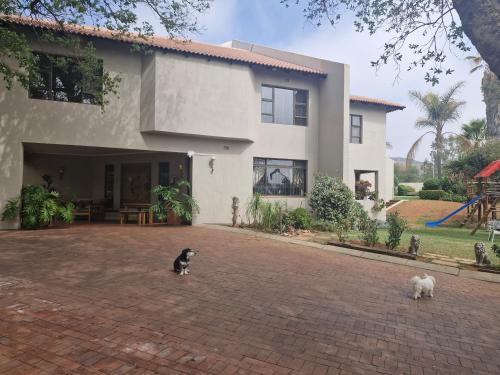 two cats are standing outside of a house at Epicure Home Guesthouse in Heidelberg