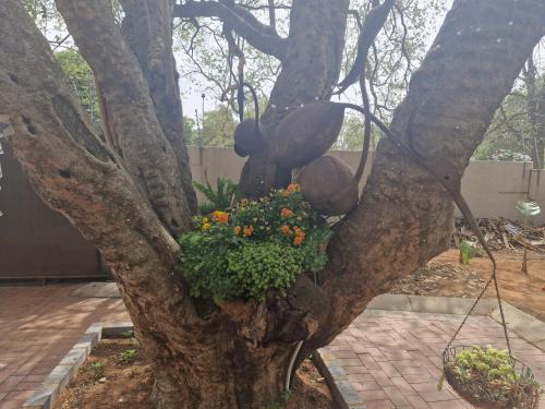 a tree with a planter in the middle of it at Epicure Home Guesthouse in Heidelberg