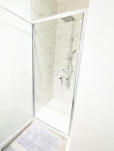 une douche avec une cabine en verre dans une salle de bain dans l'établissement Le Petit Marius - Lyon 8, à Lyon