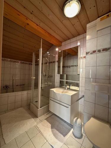 a bathroom with a sink and a shower and a toilet at Family Penthouse with view of the Swiss Alps in Mollens