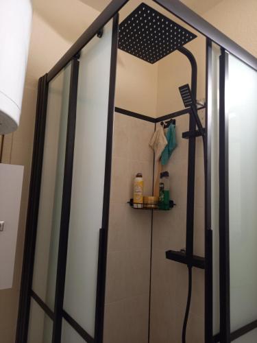 une douche avec une porte vitrée dans une salle de bain dans l'établissement T2 cabine La Londe les Maures 4 personnes magnifique vue mer, à La Londe-les-Maures