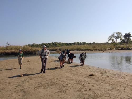 a group of people walking on the shore of a river at Jungle Base Camp in Bardia