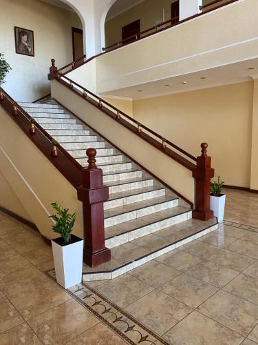 a staircase in a building with two potted plants at Момент in Yuzhnoukrainsk 