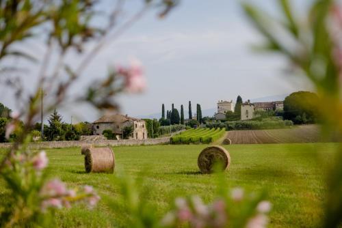 a field with hay bales in the grass at Agriturismo Sambuco in Pastrengo