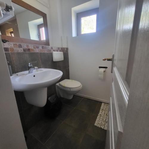 a bathroom with a sink and a toilet at Pensiunea 4 Salcii in Băltenii de Sus