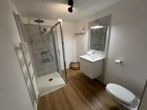 une salle de bain avec une douche, des toilettes et un lavabo dans l'établissement T2 Neuf à 800 m de la plage de Cala Rossa appart n 80, à Lecci